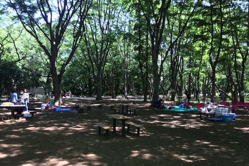 光が丘公園