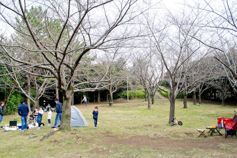みなとが丘ふ頭公園